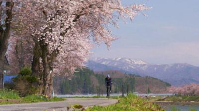 Cycle Around Japan