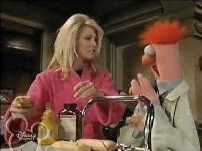 Muppets Tonight