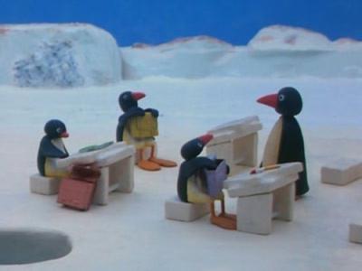 Pingu
