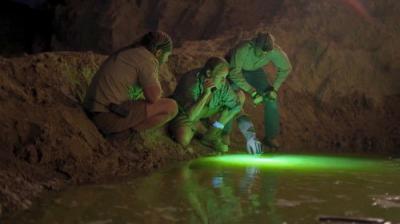 Mystery at Blind Frog Ranch