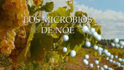 Planeta Microbio