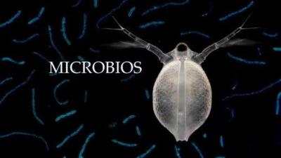 Planeta Microbio