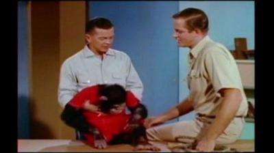 Mutual of Omaha's Wild Kingdom