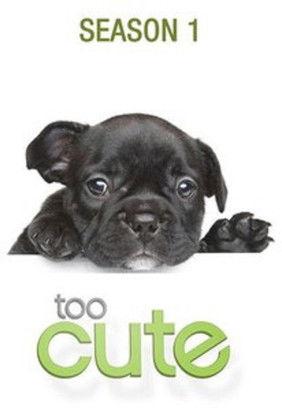 Too Cute filmas online