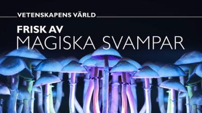 Vetenskapens värld