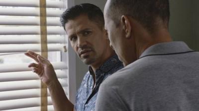 Privatus detektyvas Magnumas