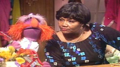 The Muppet Show