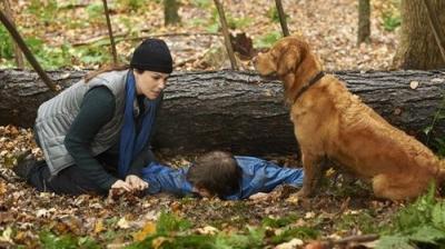 Saving Hope