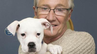For the Love of Dogs