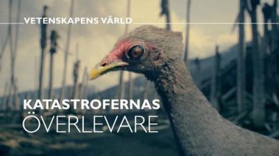 Vetenskapens värld