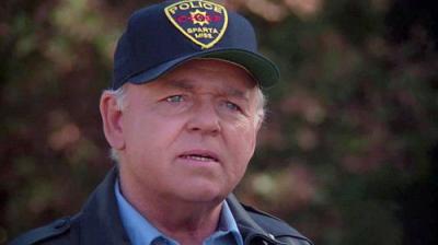 In the Heat of the Night