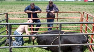 The Incredible Dr. Pol