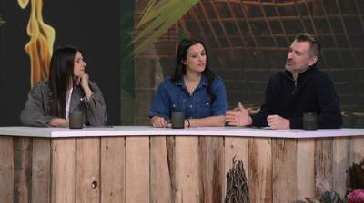 Survivor Québec