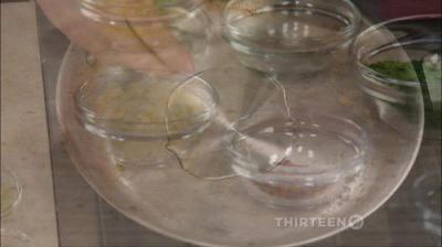 America's Test Kitchen