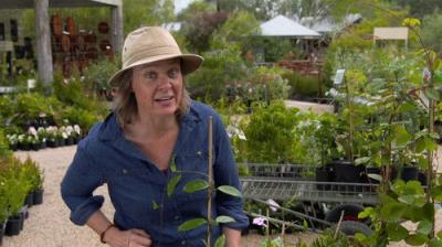 Gardening Australia