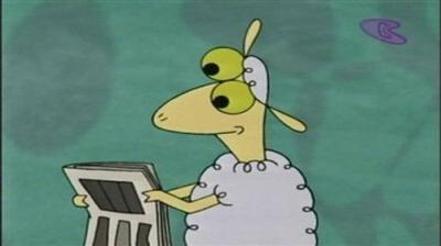 Sheep in the Big City