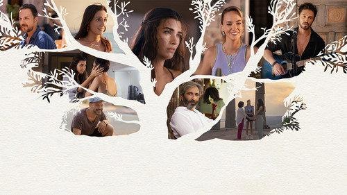 Zeytin Ağacı filmas žiurėti online