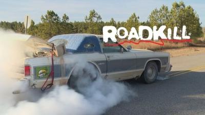 Roadkill