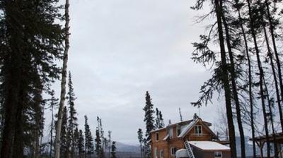 Life Below Zero