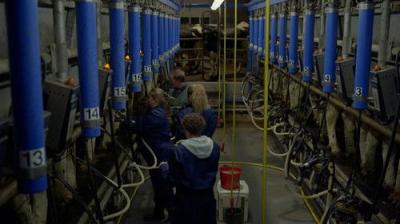 Boer zoekt Vrouw