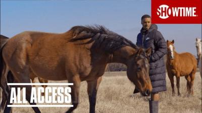 All Access