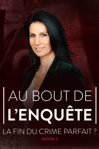 Au bout de l'enquête, la fin du crime parfait ? filmas online