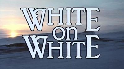 Marty Stouffer's Wild America