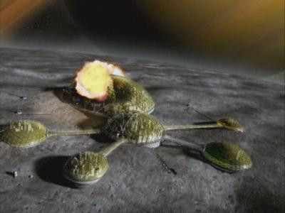 Starhunter