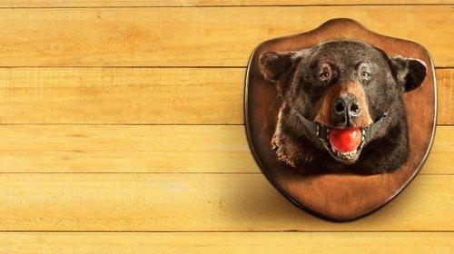 Svečių knyga filmas žiurėti online