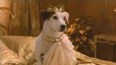 Wishbone