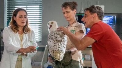 Tierärztin Dr. Mertens