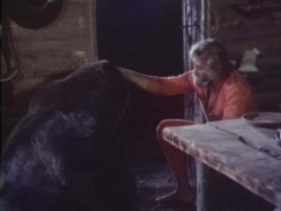 Grizzly Adams