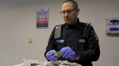 Gränsbevakarna Sverige