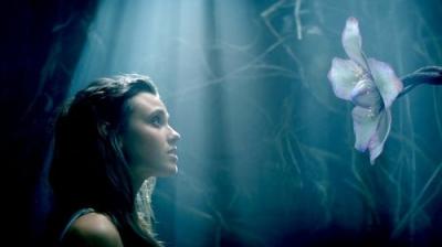 The Shannara Chronicles