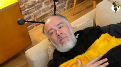 The Bee