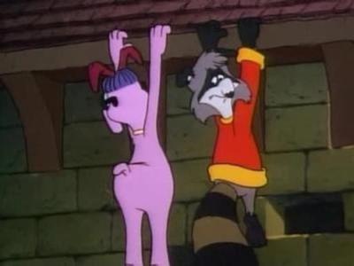 The Raccoons