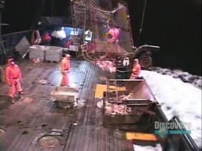 Deadliest Catch
