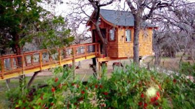Treehouse Masters