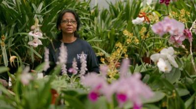 Gardeners' World