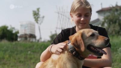 stark! Kinder erzählen ihre Geschichte