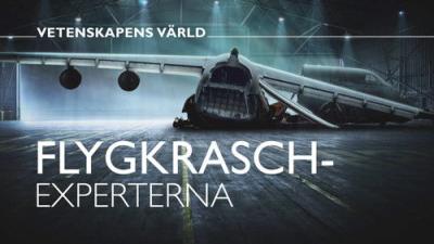 Vetenskapens värld