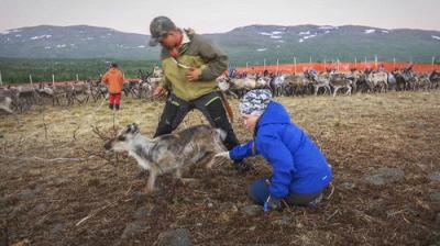 Uppdrag granskning