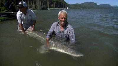 River Monsters