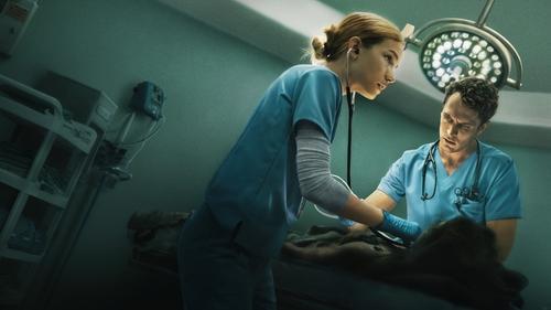 PULSE filmas žiurėti online