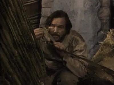 Zorro