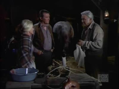 Bonanza