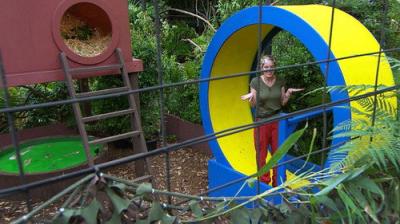 I'm a Celebrity...Get Me Out of Here!