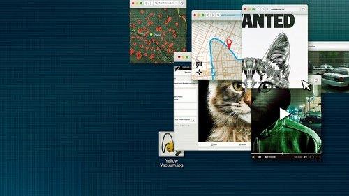 Neišsidirbinėk su katėmis: Medžiojant internetinį žudiką filmas žiurėti online