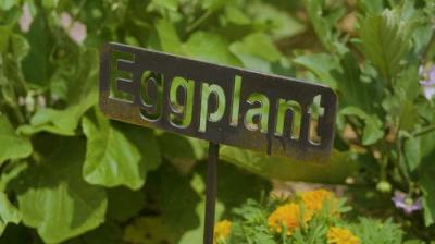 Oklahoma Gardening