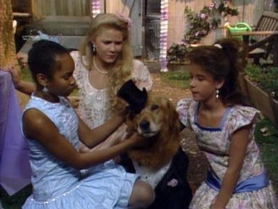 Punky Brewster